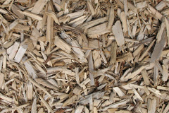 biomass boilers Cadeleigh